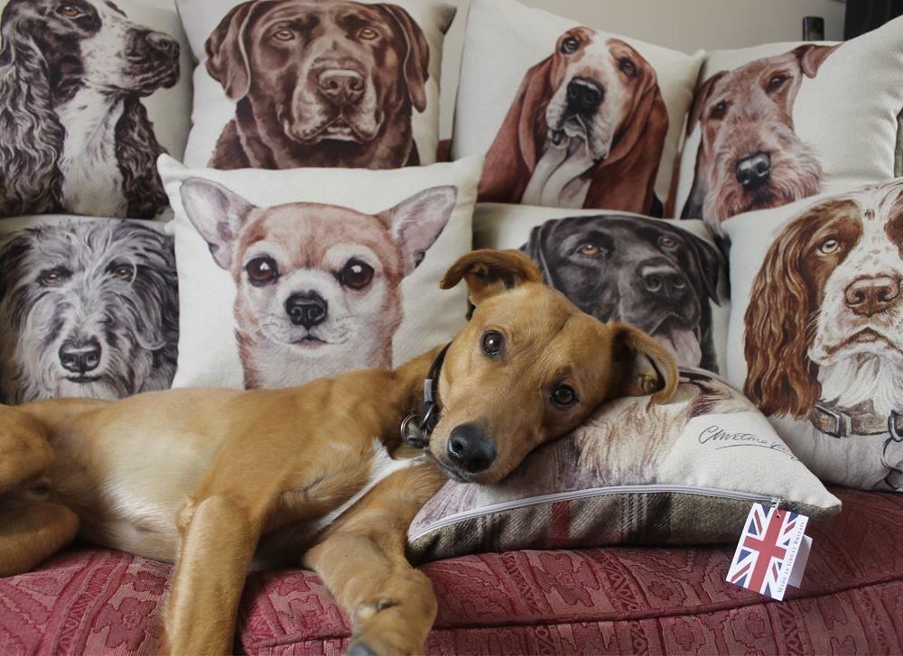 Evans Lichfield Waggydogz polyester coussin dans divers chien Designs