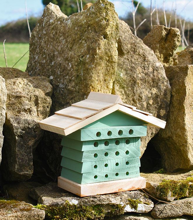 Leafcutter and Orchard Bees Bee Hive Wildlife World Wooden Bee Hyve for Mason