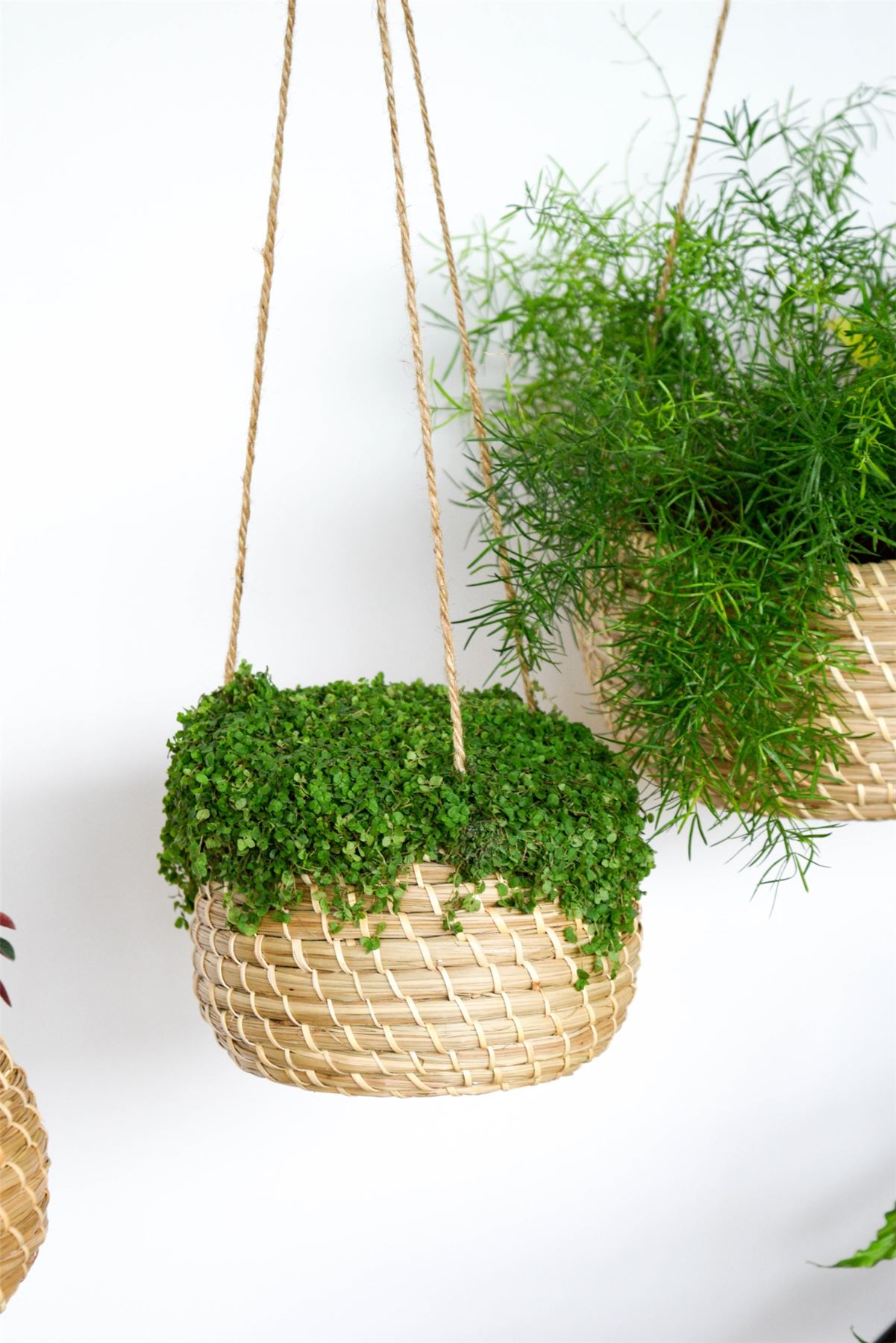 Wicker Window Boxes Wicker Flower Box For Outside Our Kitchen Window