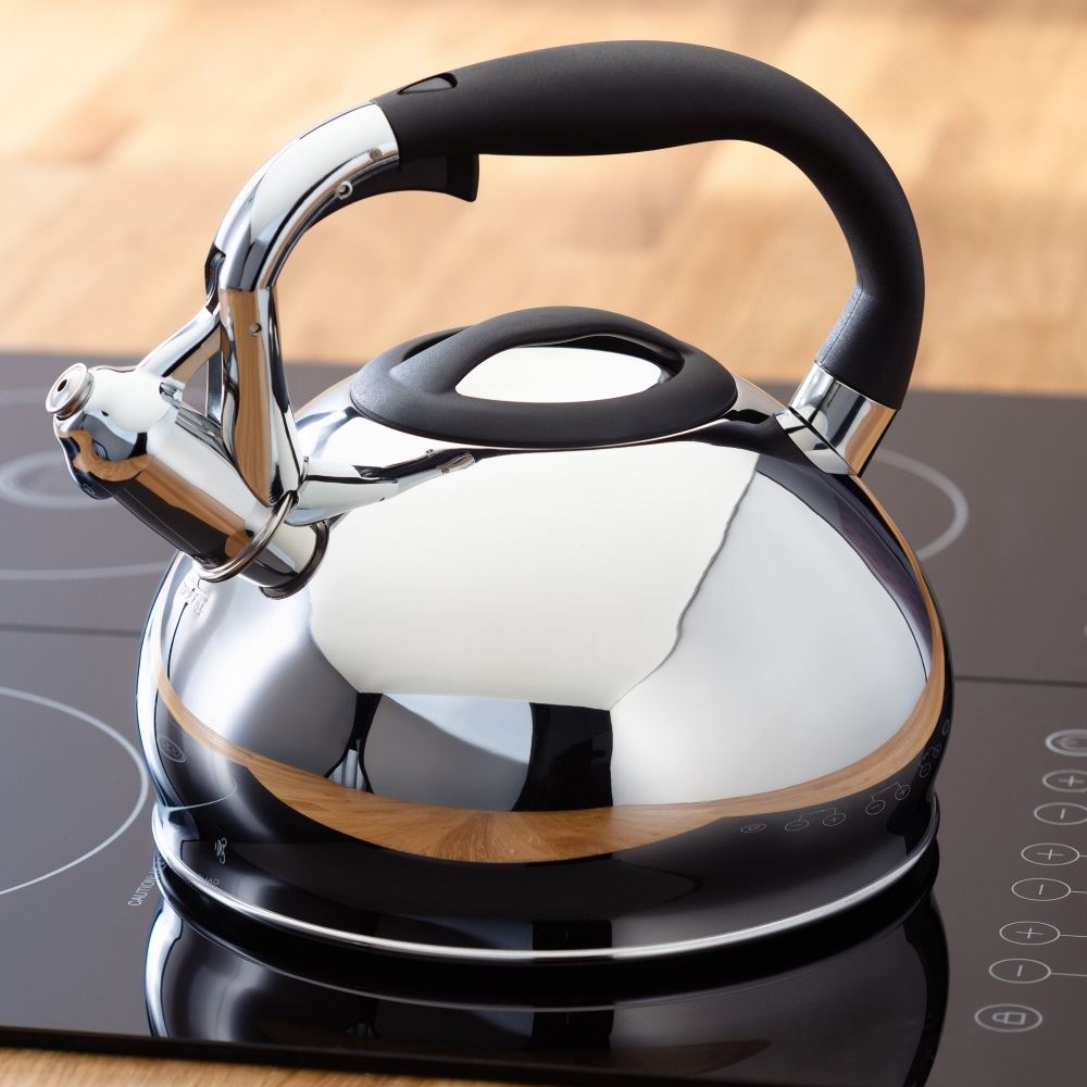 Stove Top Whistling Kettle Induction Large 3L Stainless Steel Electric Gas Judge eBay
