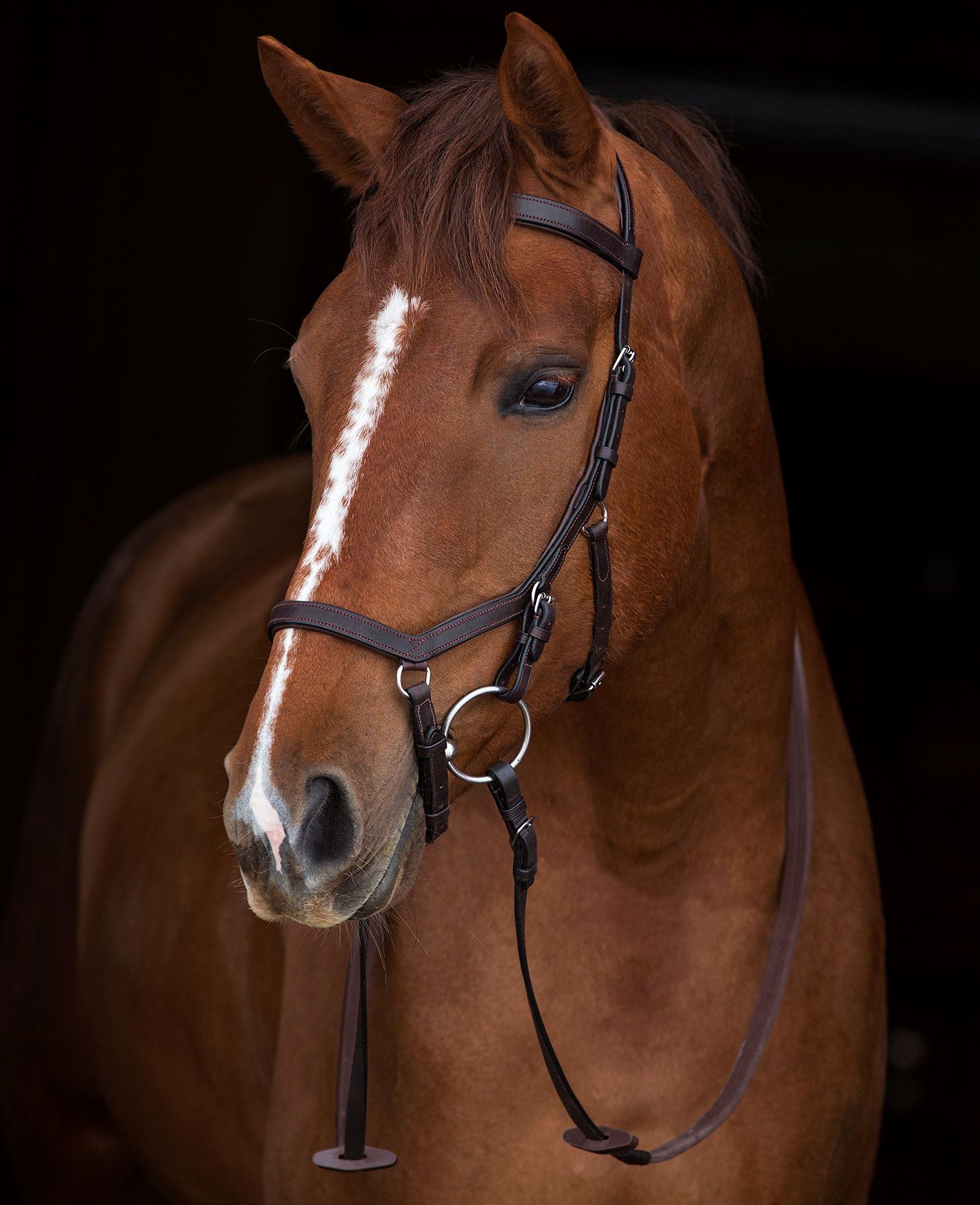 Horseware Ireland Rambo Micklem Original Competition Bridle SBAB4K eBay