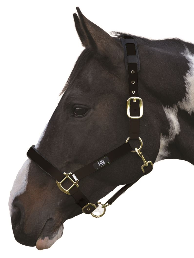 Hy Deluxe Padded Horse Pony Head Collar Various Colours 11238P eBay