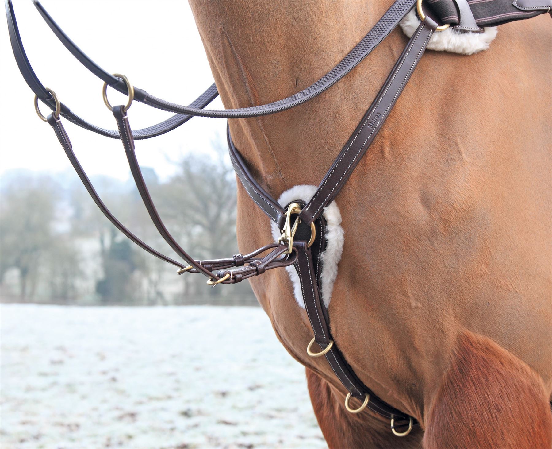 SALISBURY 5 POINT BREASTPLATE HORSE EQUESTRIAN TACK RIDING eBay