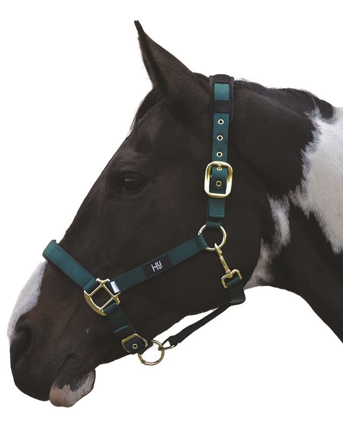 Hy Deluxe Padded Horse Pony Head Collar Various Colours 11238P eBay