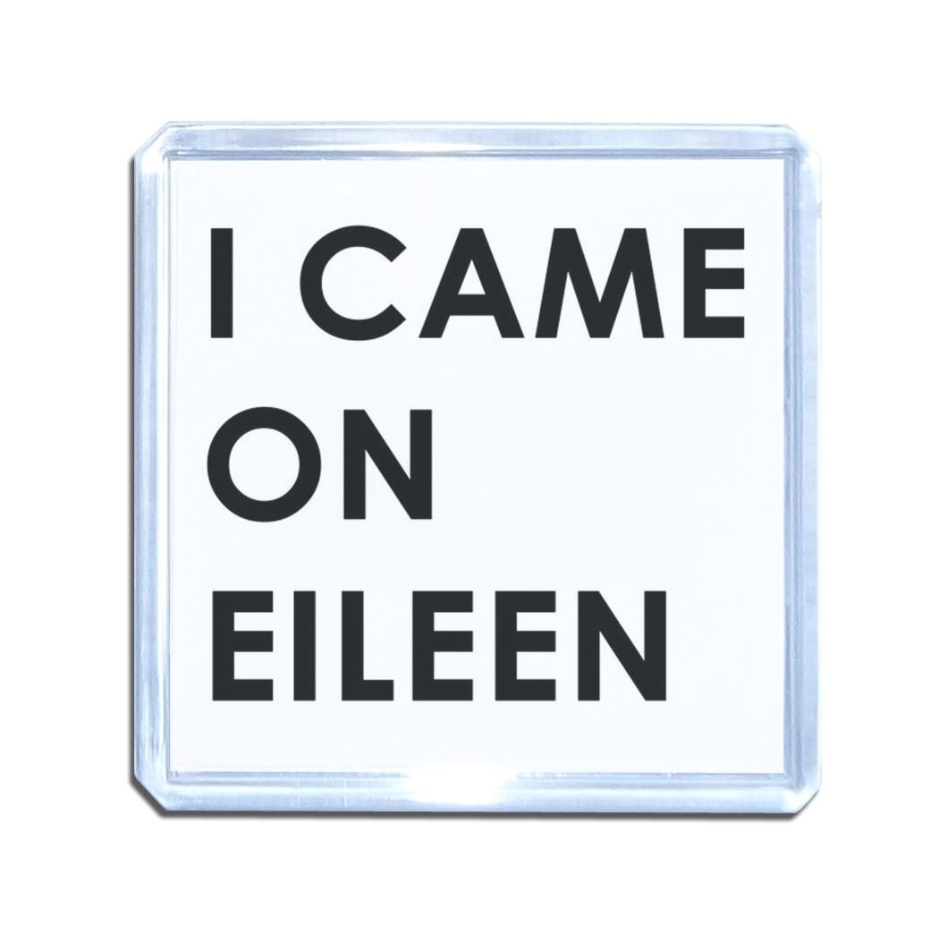I Came On Eileen Plastic Fridge Magnet (S, M, L, XL) - Picture 9 of 10