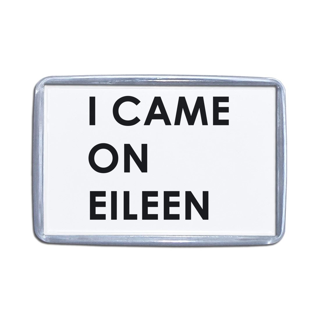 I Came On Eileen Plastic Fridge Magnet (S, M, L, XL) - Picture 7 of 10