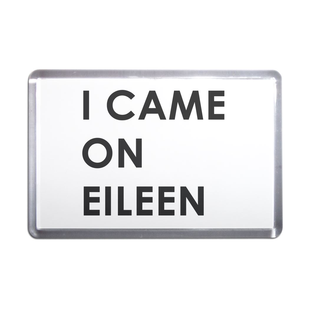 I Came On Eileen Plastic Fridge Magnet (S, M, L, XL) - Picture 5 of 10