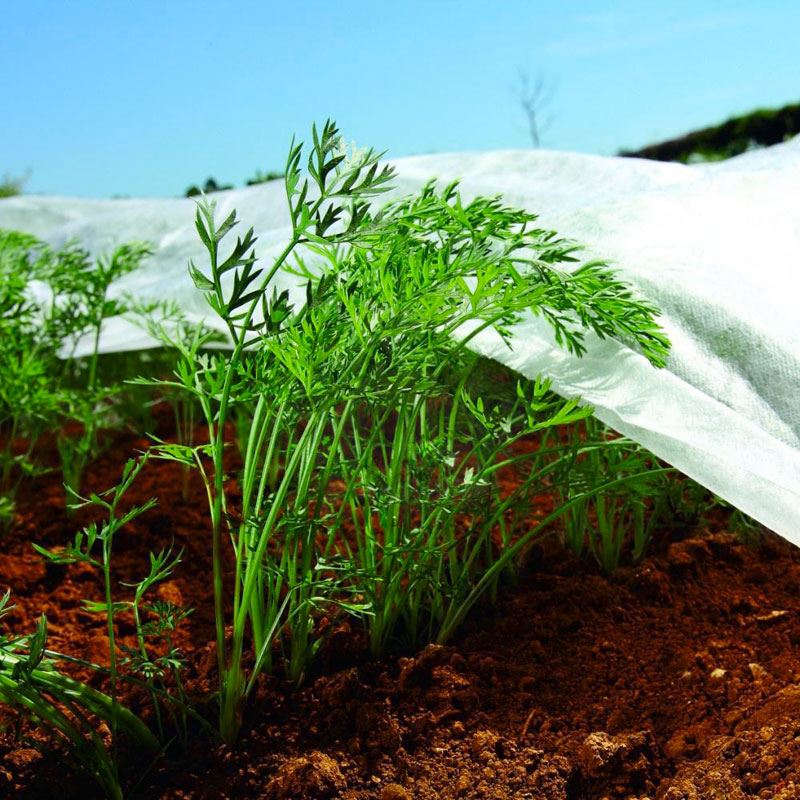 Nonwoven Crop Cover Plant Frost Protection Fabric Insect Netting Various Sizes