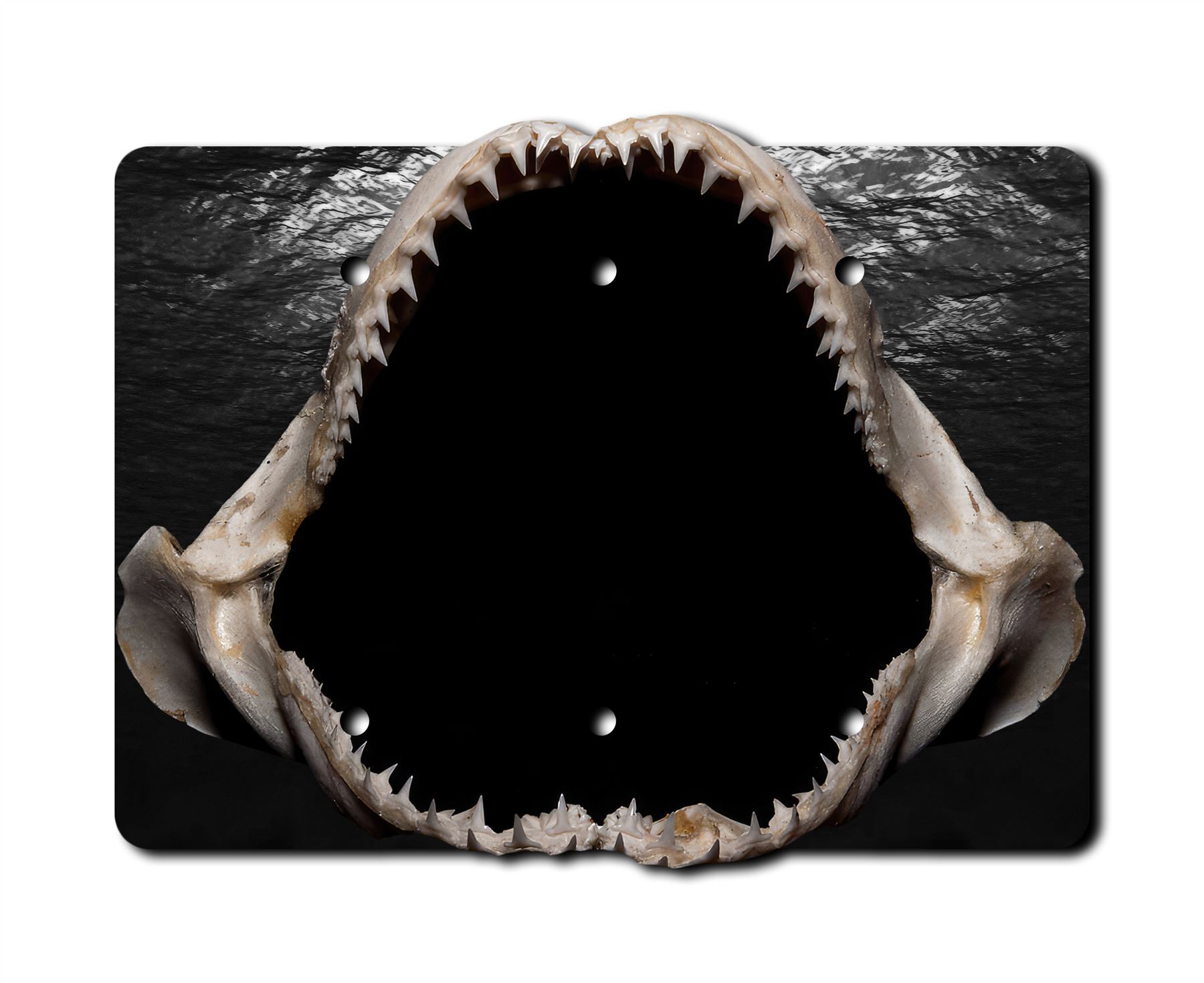 Tiburón Mandíbulas Placa de Pared Interruptor Paleta Salida Balancín Cubierta Placas de Pared - Imagen 10 de 12