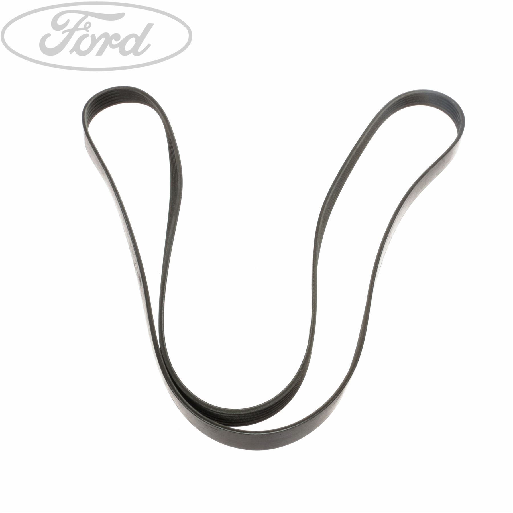 OEM Multi-Rib Auxiliary Ribbed Belt Ford Focus 1998-2004 1.6 16V 1.4 16V
