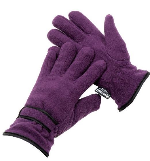 Ladies Womens Soft Polar Fleece Thinsulate Lined Thermal Winter Gloves eBay