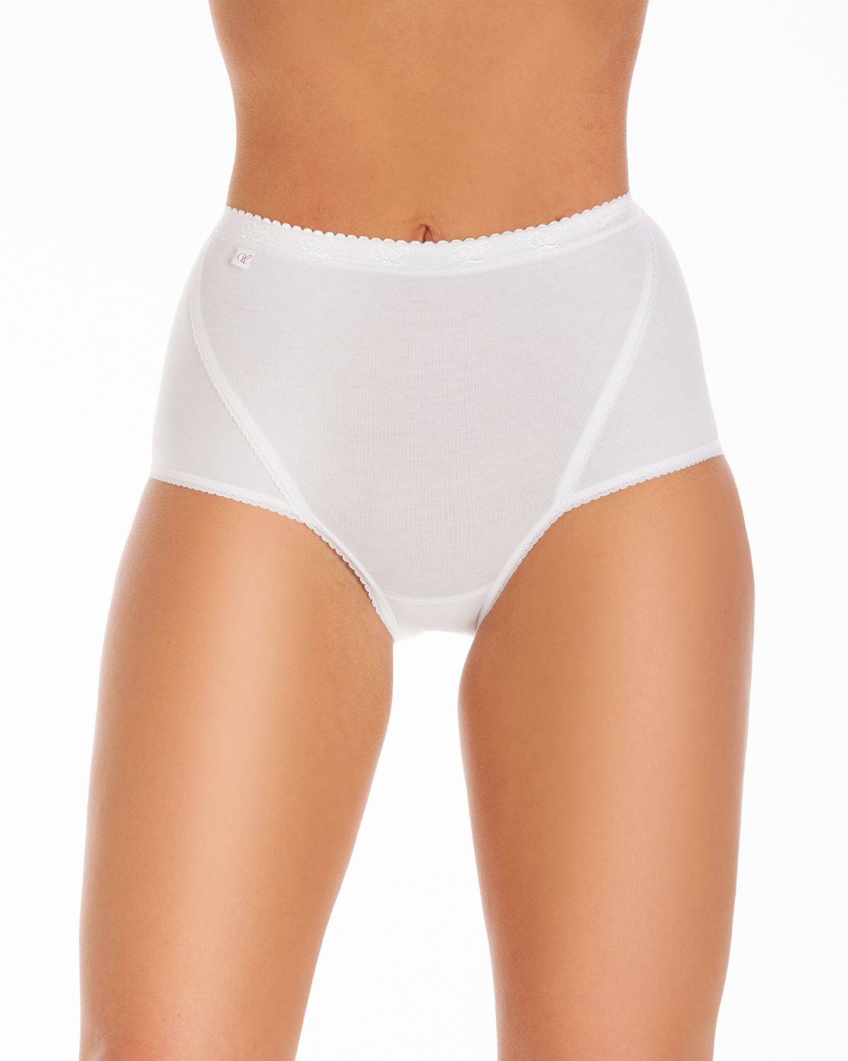 Wysteria Lane Maxi Briefs Quality Cotton Rich Full Knickers Underwear (3 Pack) - Picture 7 of 17