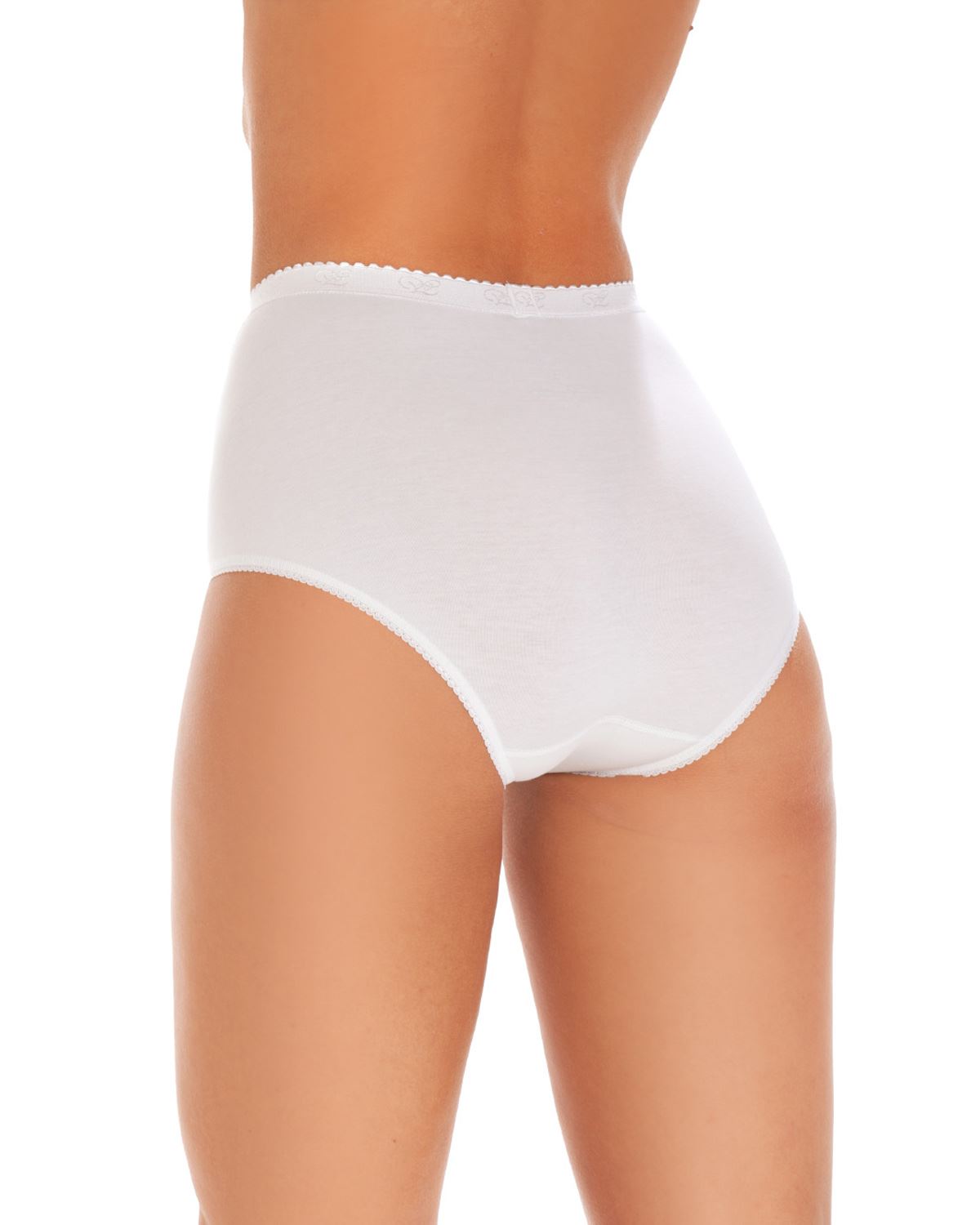 Wysteria Lane Maxi Briefs Quality Cotton Rich Full Knickers Underwear (3 Pack) - Picture 17 of 17