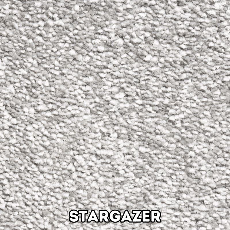 Mayfair 13.5mm Pile Carpet with Action Backing – High Quality Flooring - Picture 7 of 11