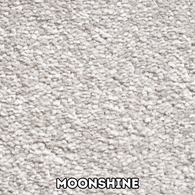 Mayfair 13.5mm Pile Carpet with Action Backing – High Quality Flooring - Picture 6 of 11