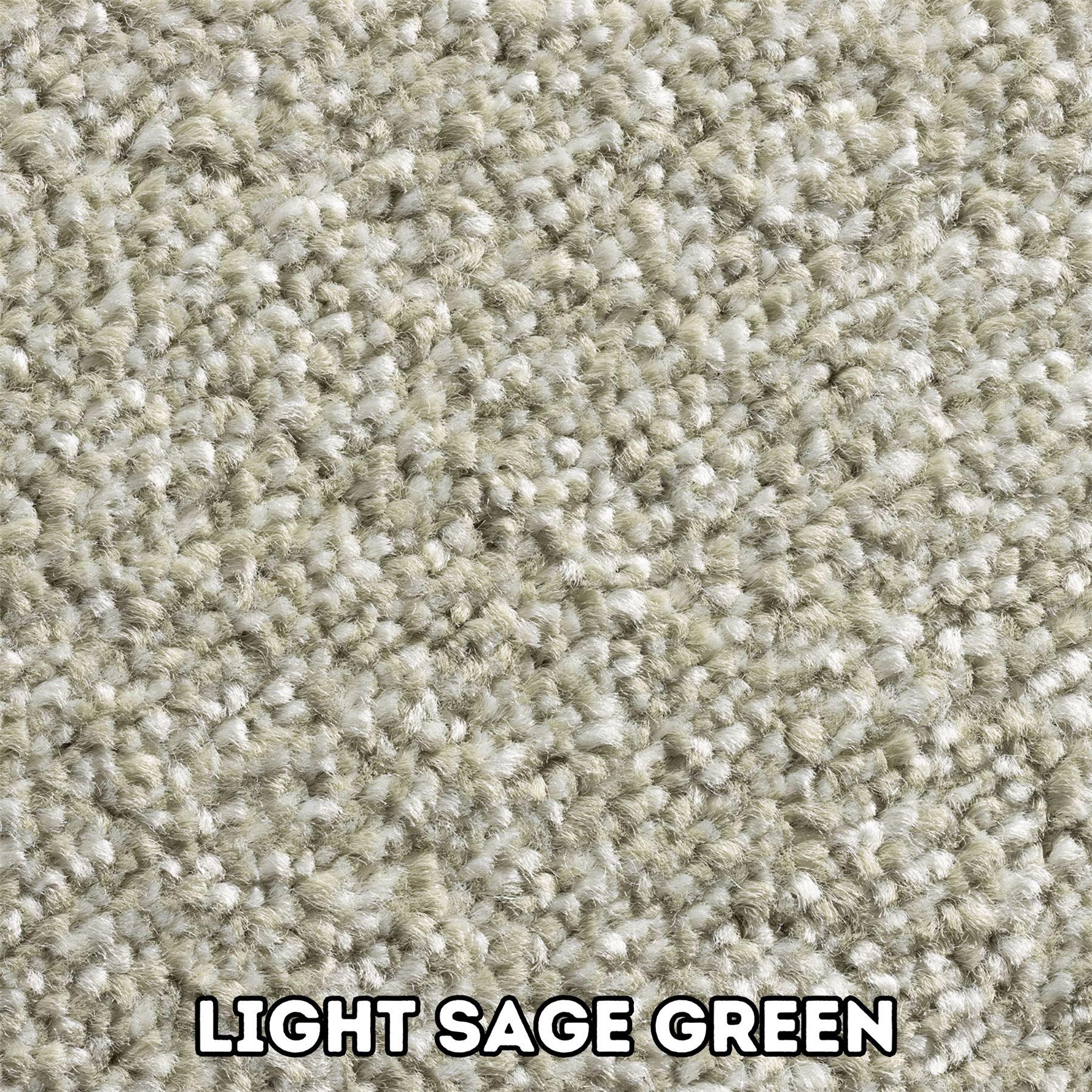Alps 11mm Pile Soft Twist Hessian Back Carpet Luxury Hard Wearing Lounge Bedroom - Picture 2 of 6