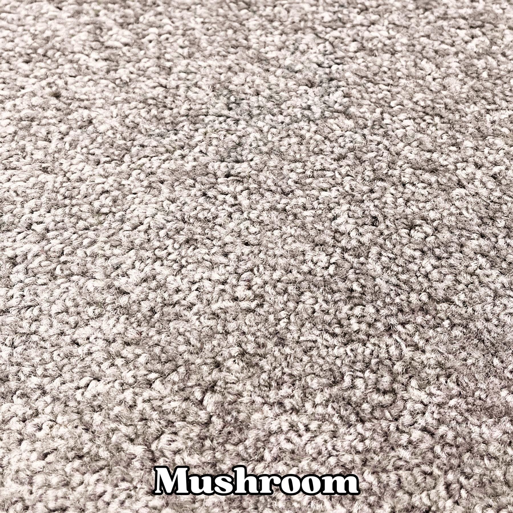 imperial 6.5mm Pile Budget Carpet with Felt Backing 8.5mm Total Height 4M Wide - Picture 6 of 13