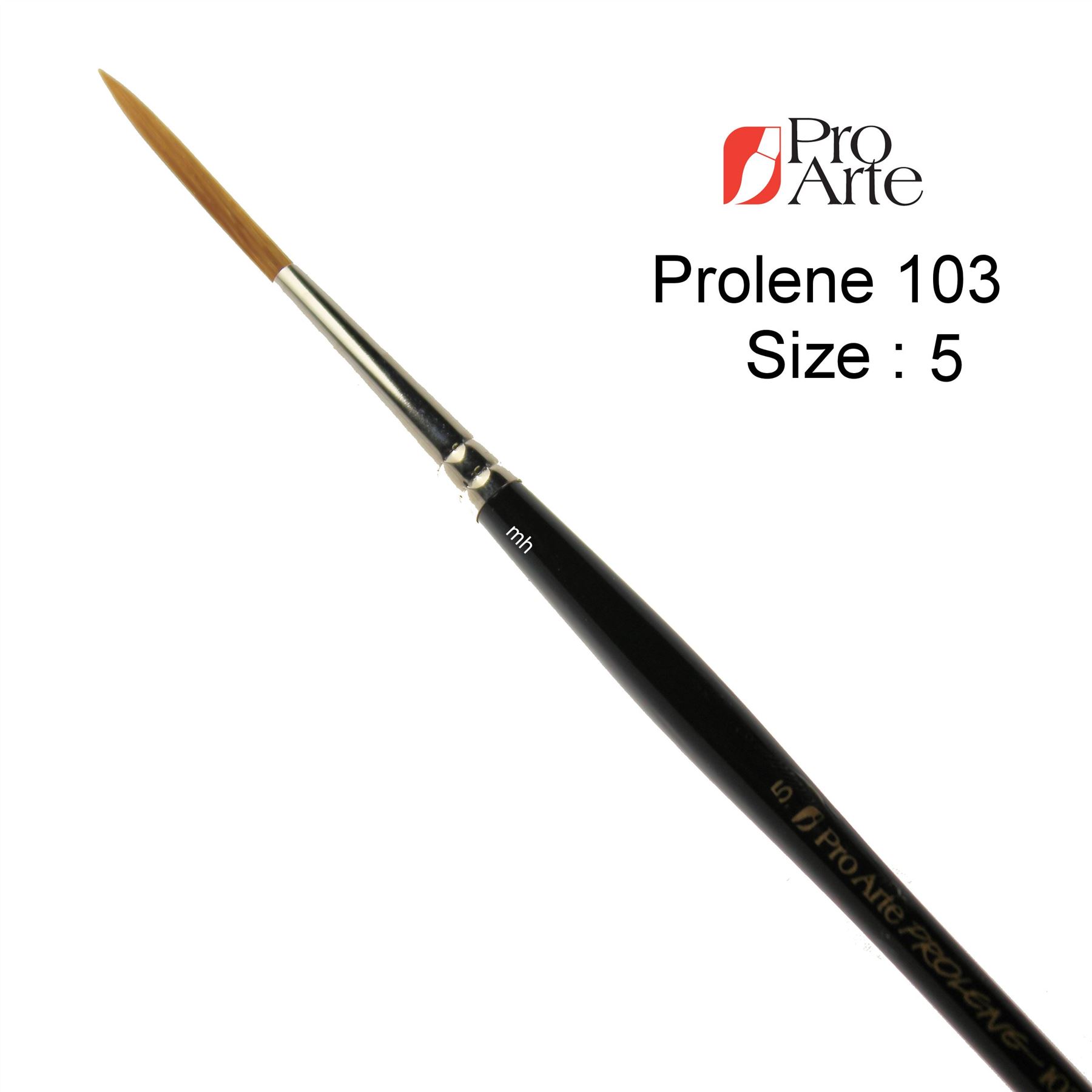 Pro Arte Series 103 Watercolour Artists Rigger Brushes Prolene long