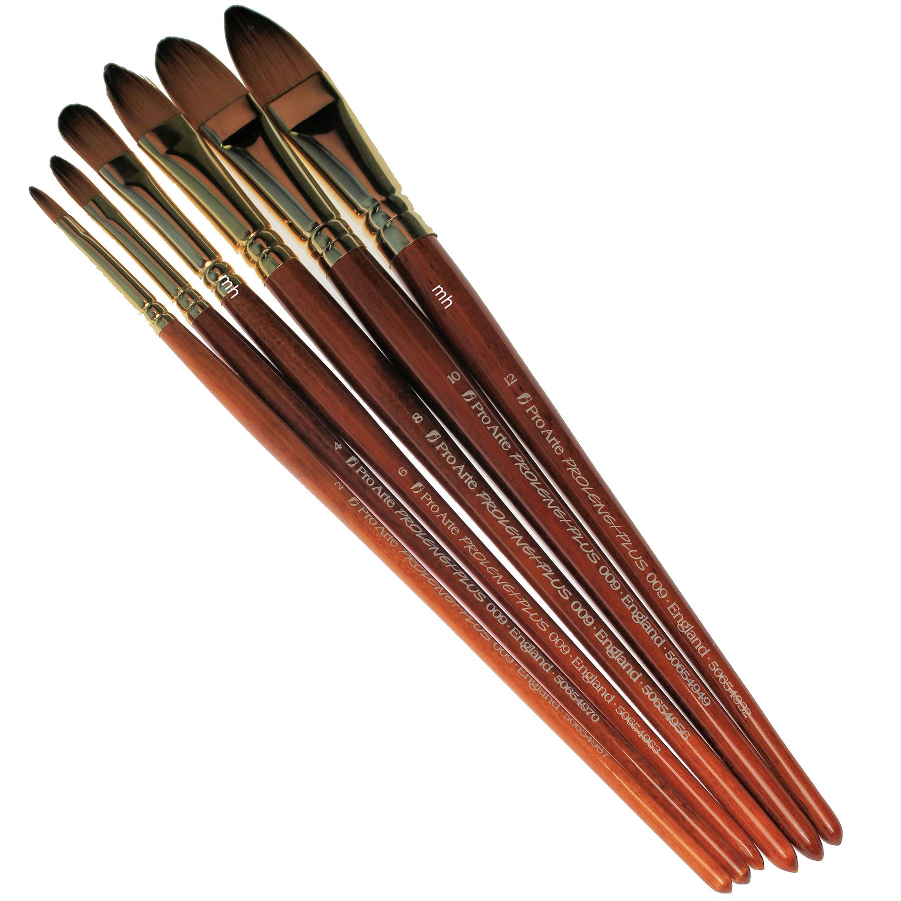 Pro Arte series 009 Artists Prolene Filbert single Brush watercolour