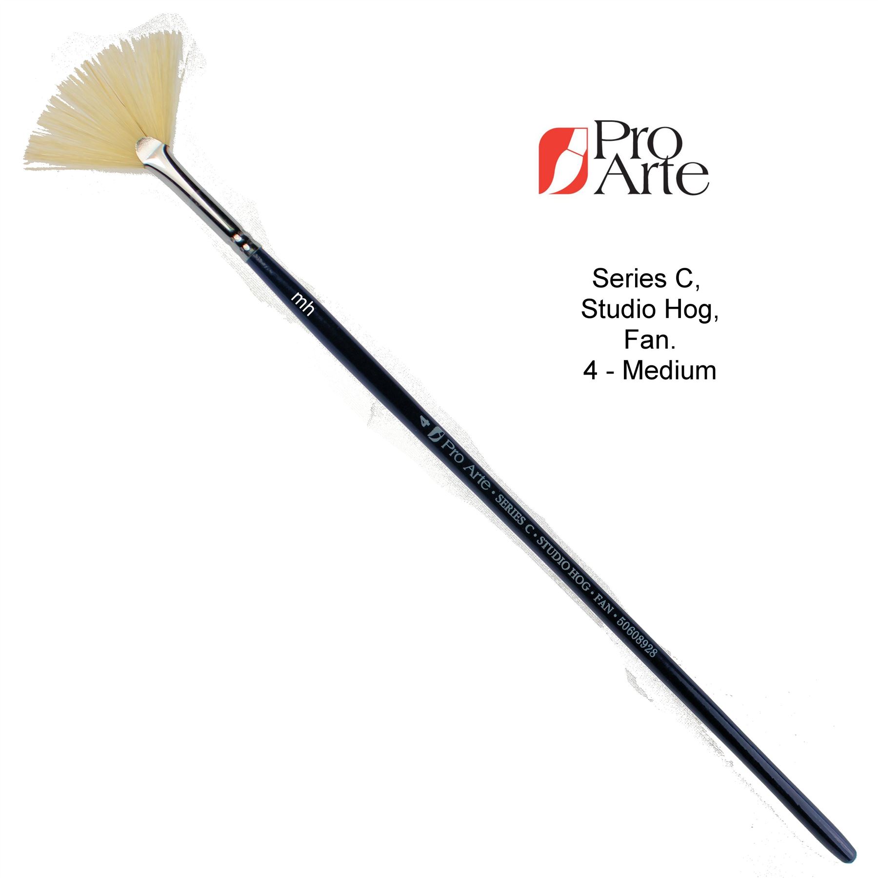 Pro Arte Series C Fan brushes Oil Acrylic Paint brush hog hair artist Fan single - Picture 3 of 4