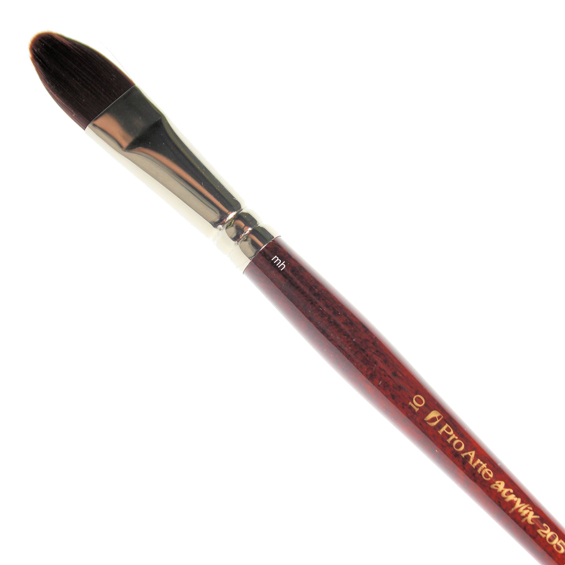 10 Wash Brush With Telescoping Handle