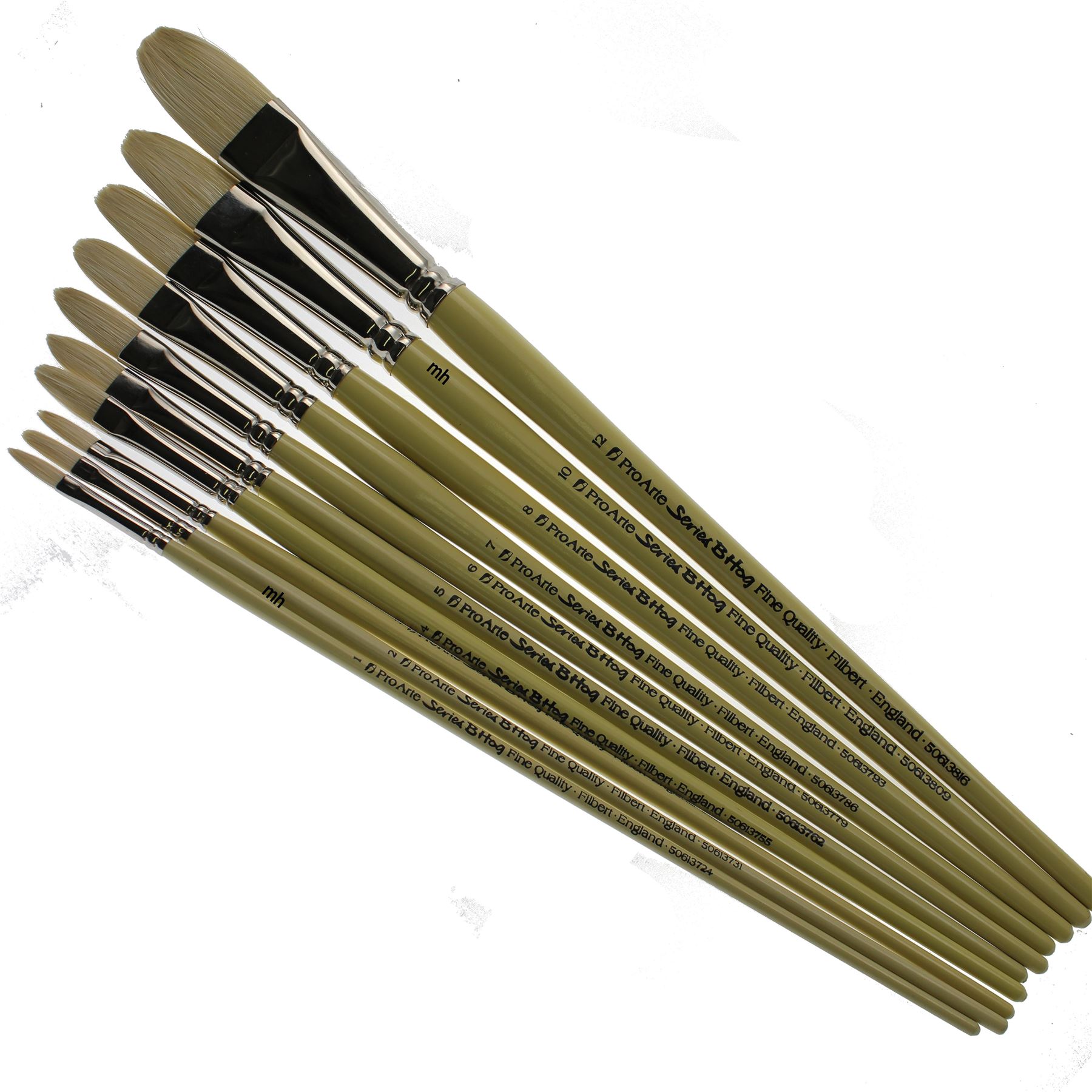 Artists hogs brush oil paint Pro Arte Series B Filbert brushes eBay