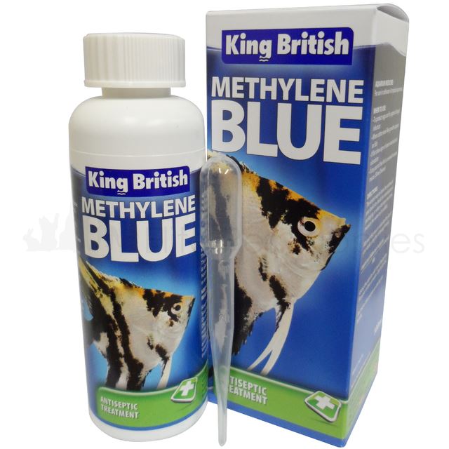 King British Tropical Coldwater Fish Tank Aquarium Disease Treatment