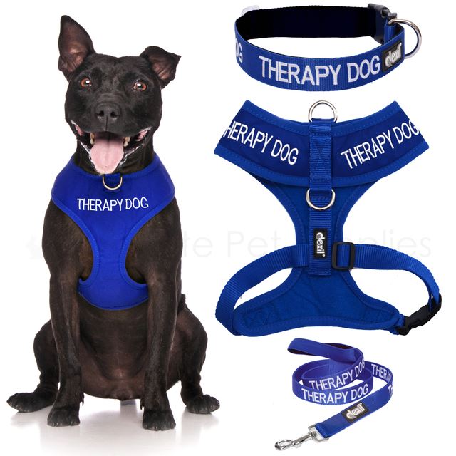 therapy dog lead