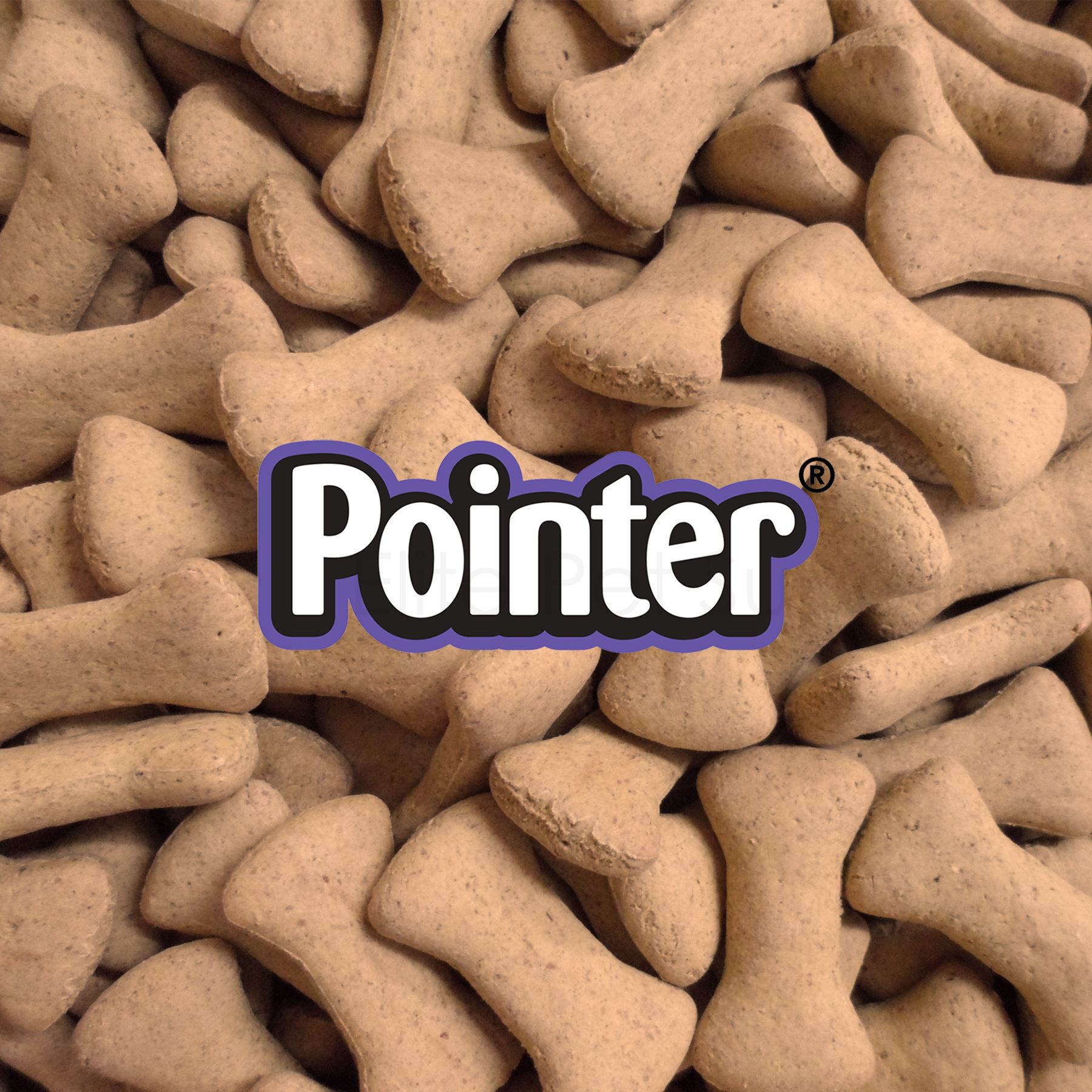 Pointer Cheese Flavoured Bones Dog Treat Biscuits Crunchy Oven Baked eBay