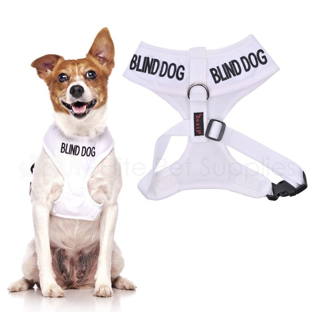 Dexil BLIND DOG Worded Dog Lead, Buckle Collar, Strap, Vest Harness or
