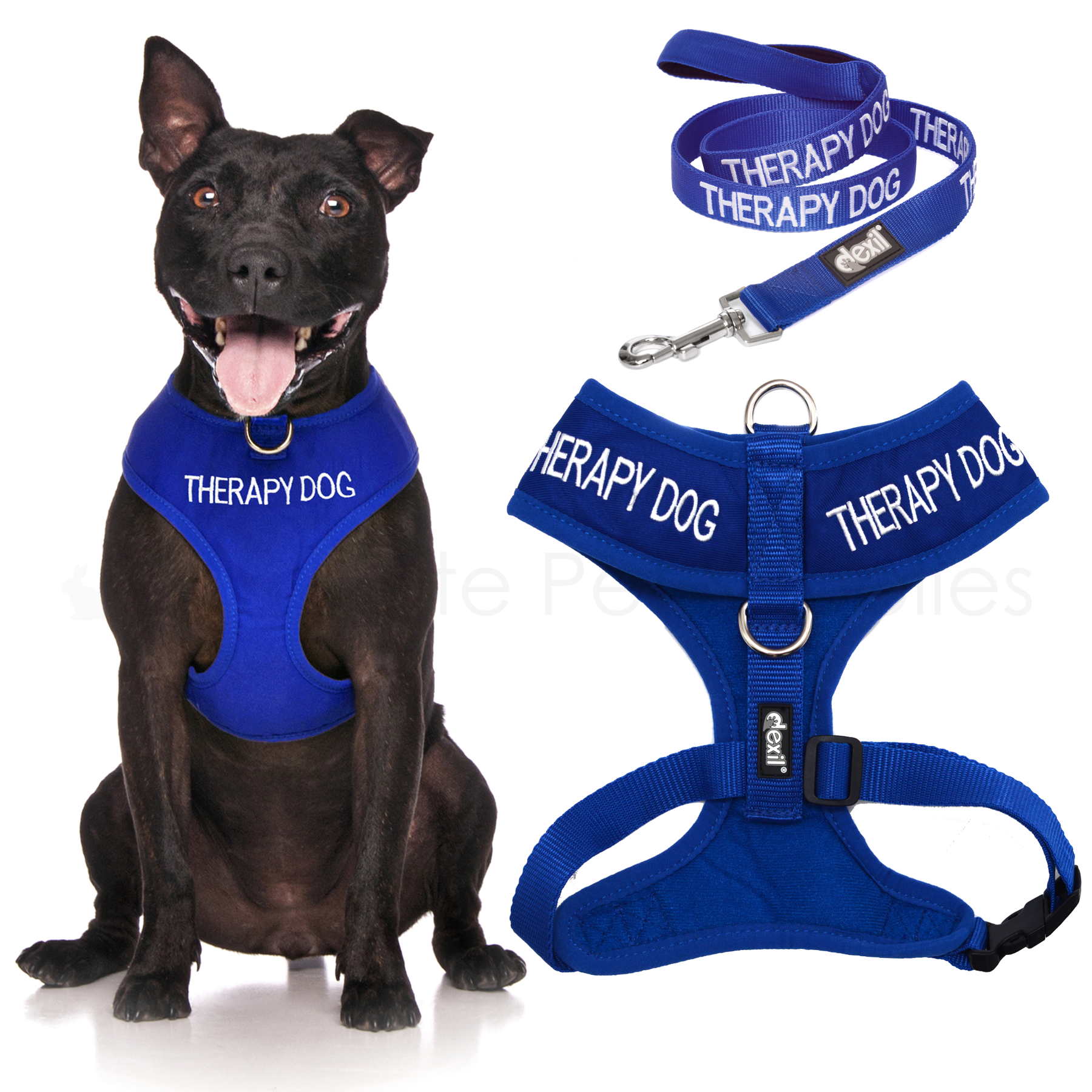 Dexil Dog Collar, Lead, Harness, Coat Colour Coded Advance Pet Warning