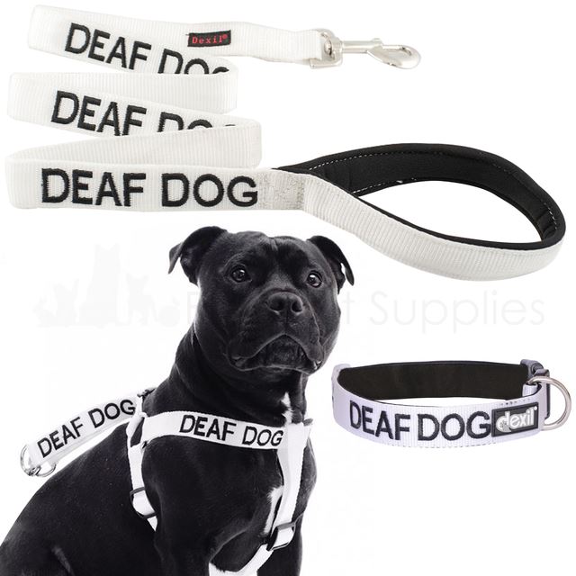 Dexil DEAF DOG Worded Dog Lead, Buckle Collar, Strap, Vest Harness or