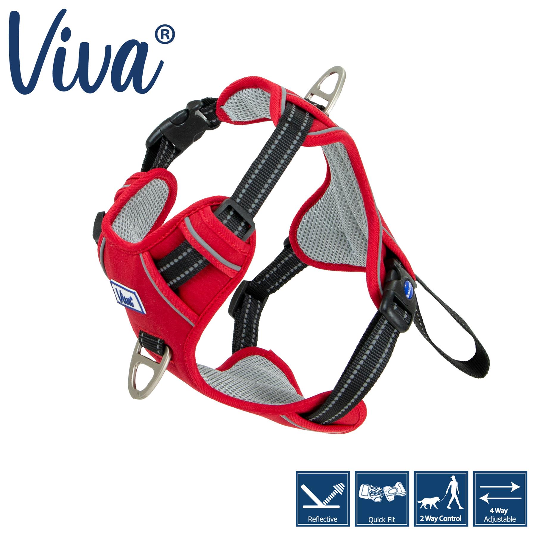 Ancol Dog Travel Car Walking Harness Padded Seat belt Clip Lead Safety - Picture 15 of 17
