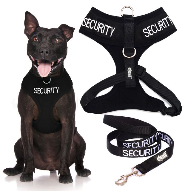 Dexil SECURITY Worded Dog Lead, Buckle Collar Or Vest Harness eBay
