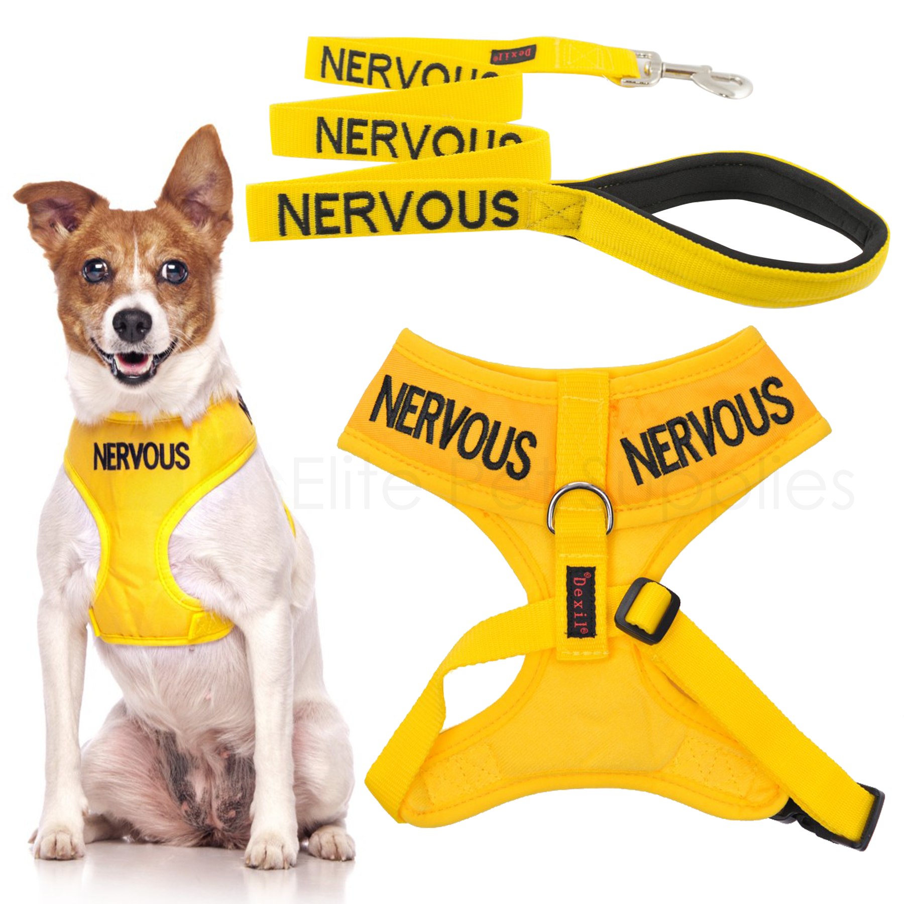 Dexil NERVOUS Worded Dog Lead, Buckle Collar, Strap, Vest Harness or