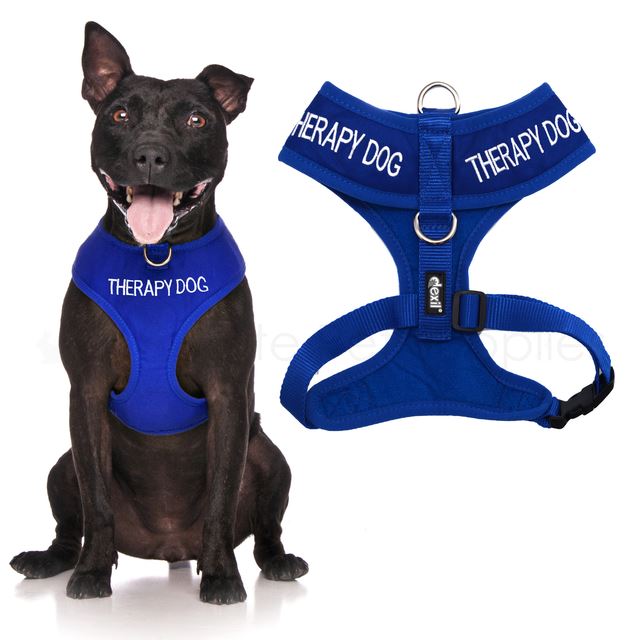 Dexil THERAPY DOG Worded Dog Lead, Buckle Collar, Strap or Vest Harness