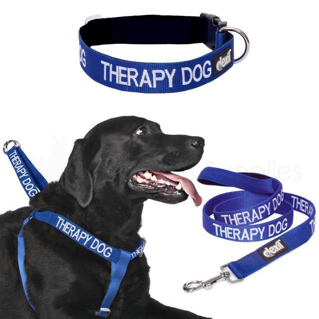 therapy dog lead