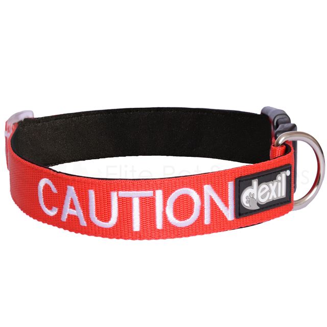 caution dog lead