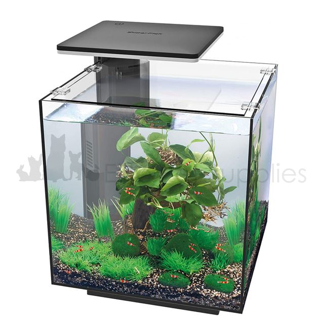 square fish tank