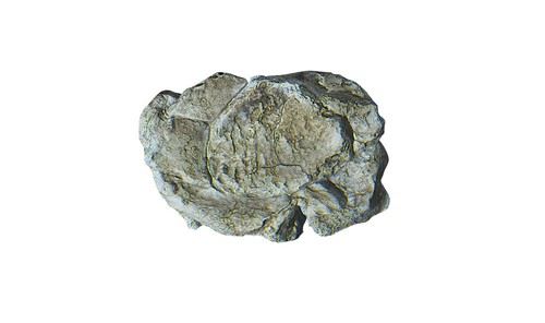 Rock moulds for modelling (railway, diorama, wargame) Woodland Scenics WC12XX - Picture 11 of 22