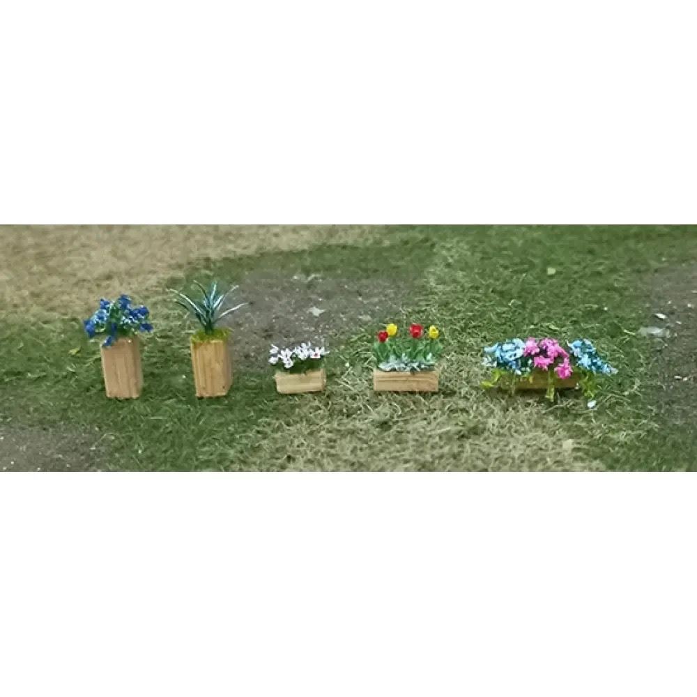 Picture 58 of 58