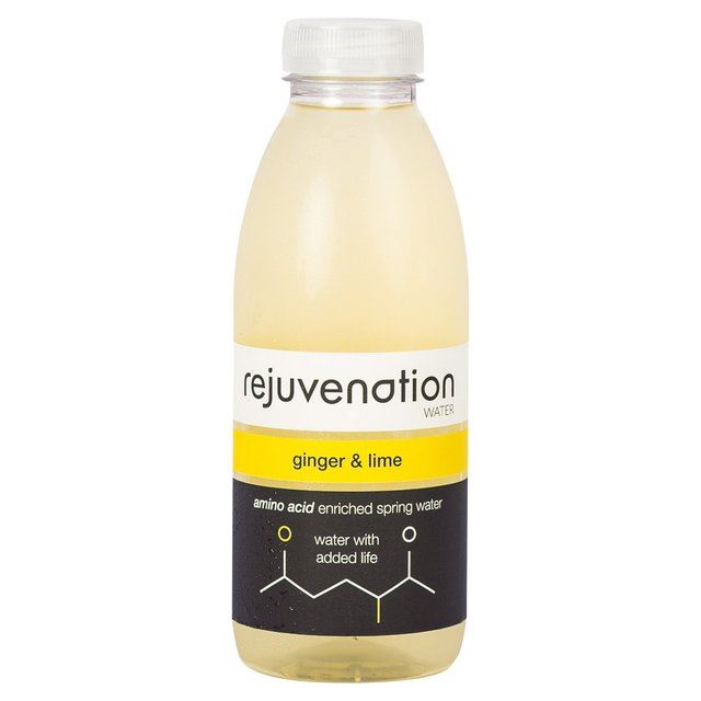 Rajeunissement de l'eau GINGER & LIME Acide Aminé enrichi Spring Water 500 ml Rajeunissement de l'eau l'eau l'eau GINGER & LIME Acide Aminé enrichi Spring Water 500 ml f2be86