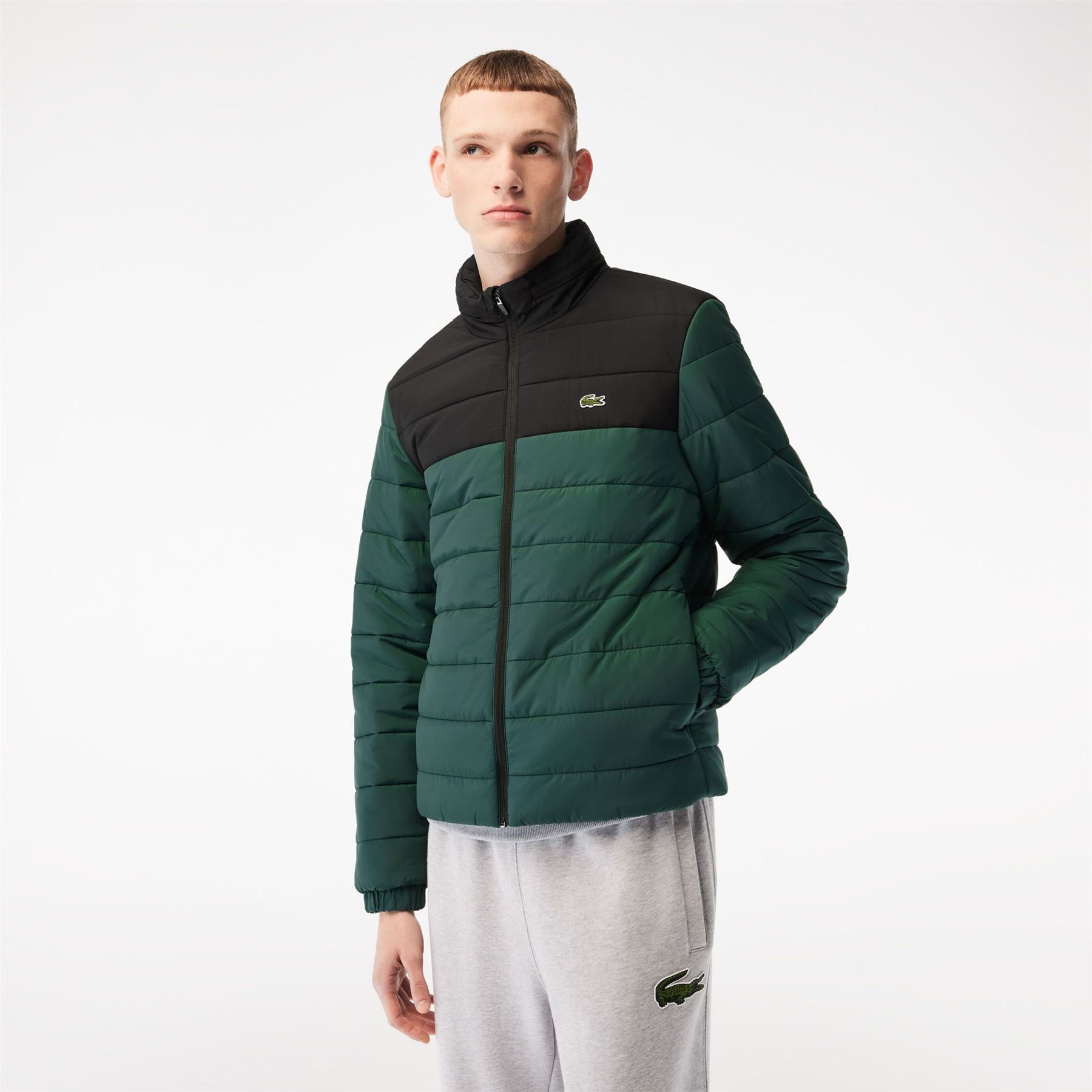 coat lacoste