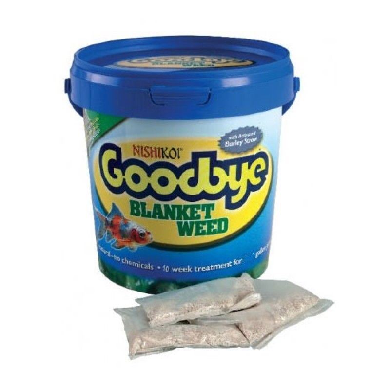 Nishikoi Goodbye Blanketweed String Algae Fish Pond Blanket Weed Water