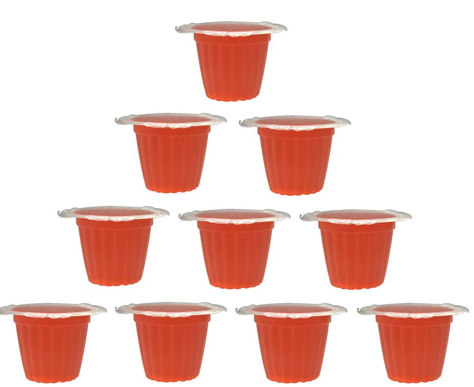 Komodo Reptile Fruit Jelly Pots Vitamin Beetle Bug Cricket Insect Food