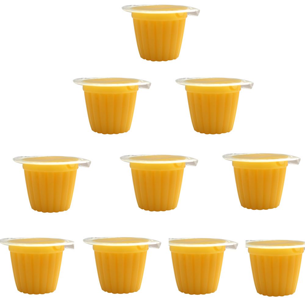 Komodo Reptile Fruit Jelly Pots Vitamin Beetle Bug Cricket Insect Food