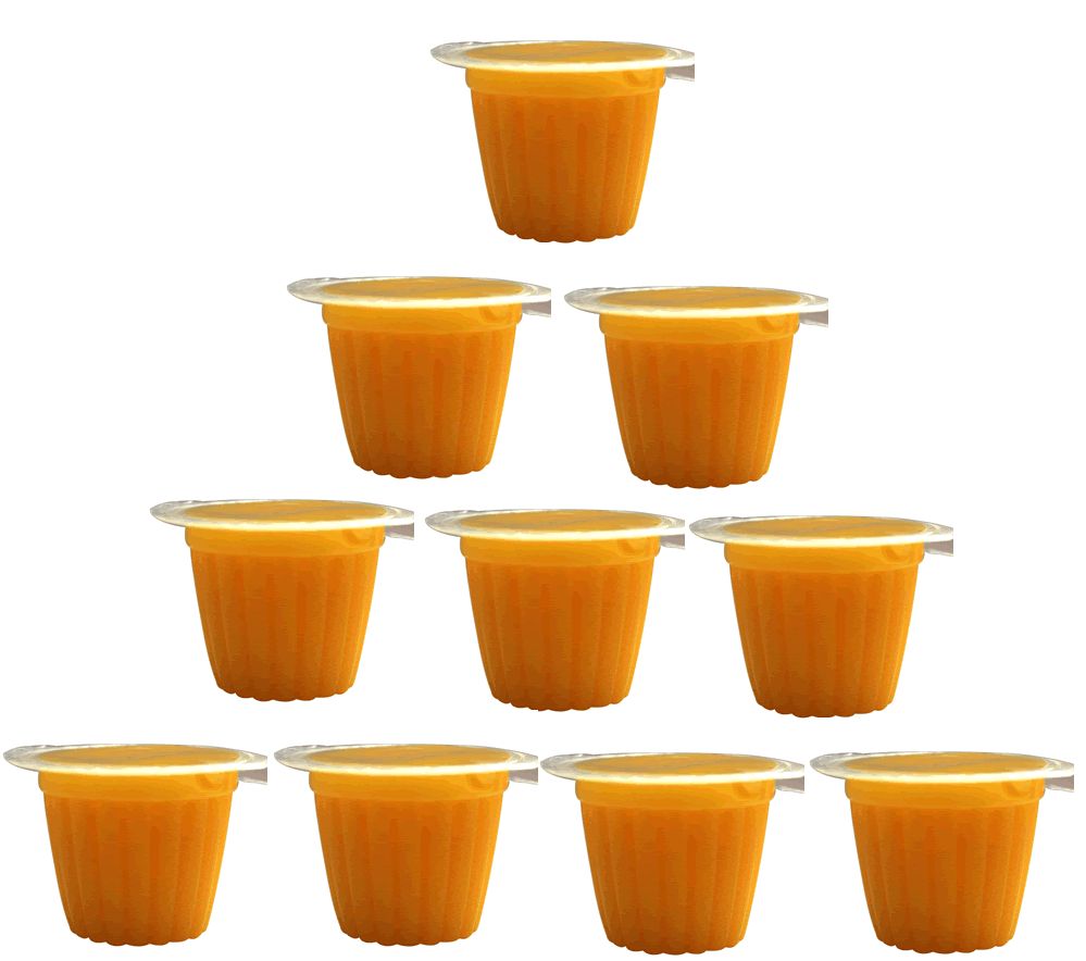 Komodo Reptile Fruit Jelly Pots Vitamin Beetle Bug Cricket Insect Food