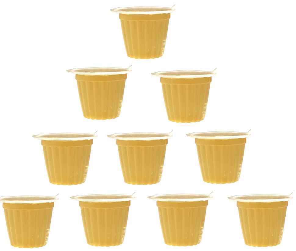 Komodo Reptile Fruit Jelly Pots Vitamin Beetle Bug Cricket Insect Food