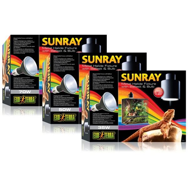 Exo Terra Reptile All In 1 Lamp Holder Bulb Sunray Metal Halide Light Uvb Heat Ebay