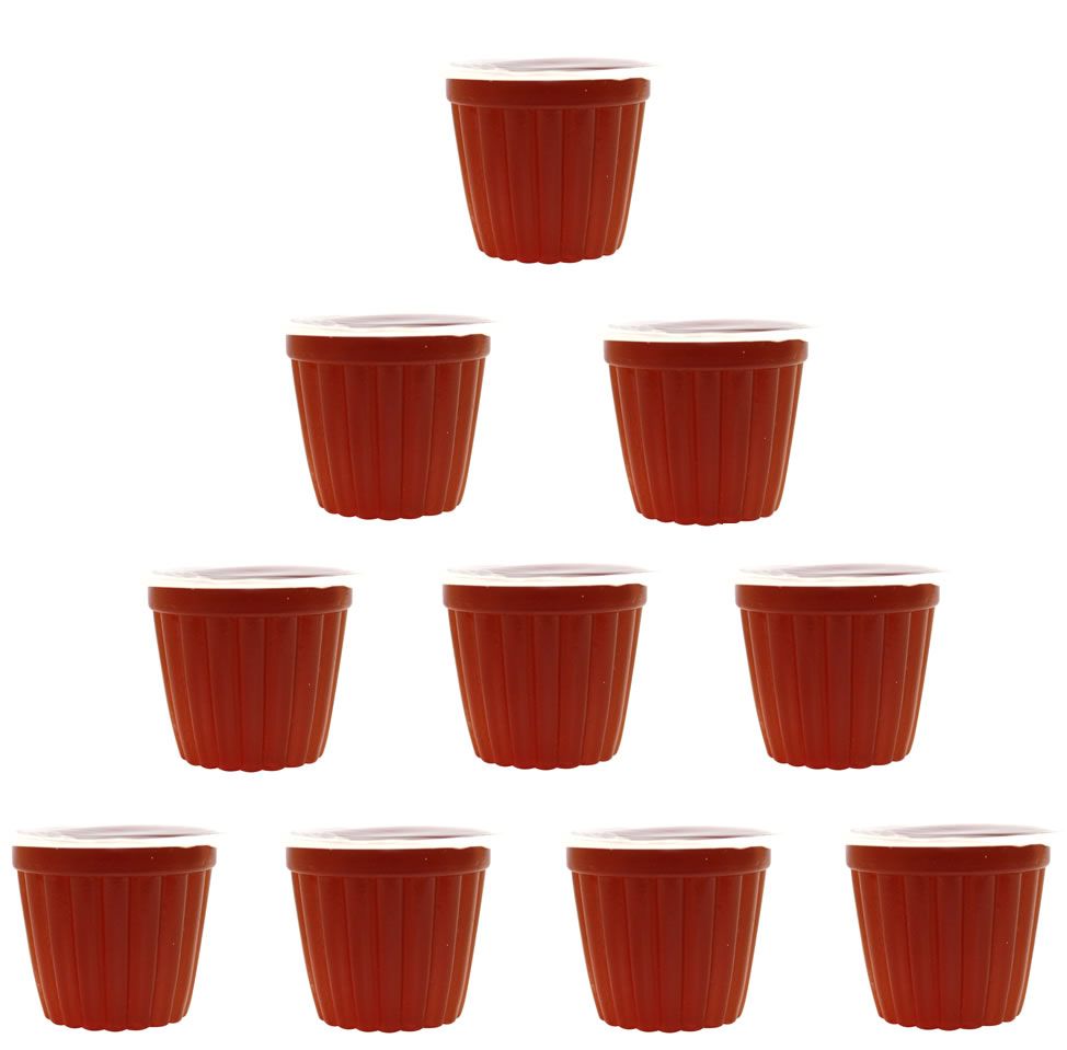 Komodo Reptile Fruit Jelly Pots Vitamin Beetle Bug Cricket Insect Food